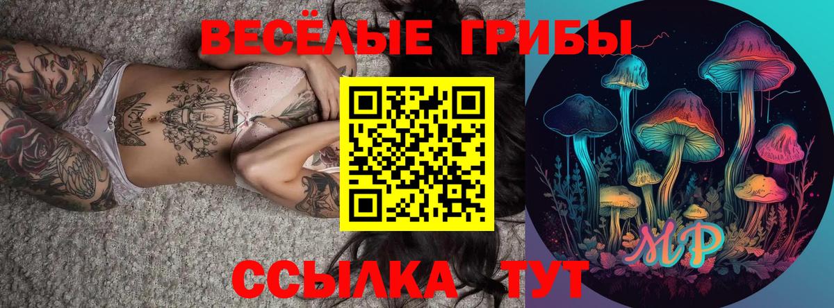 Псилоцибиновые грибы Magic Shrooms  Вход с VPN  Будённовск 
